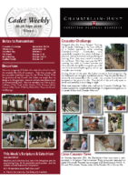 Week 6 Newsletter